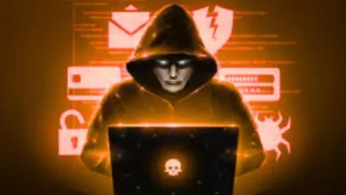 biggest cyber attacks in india